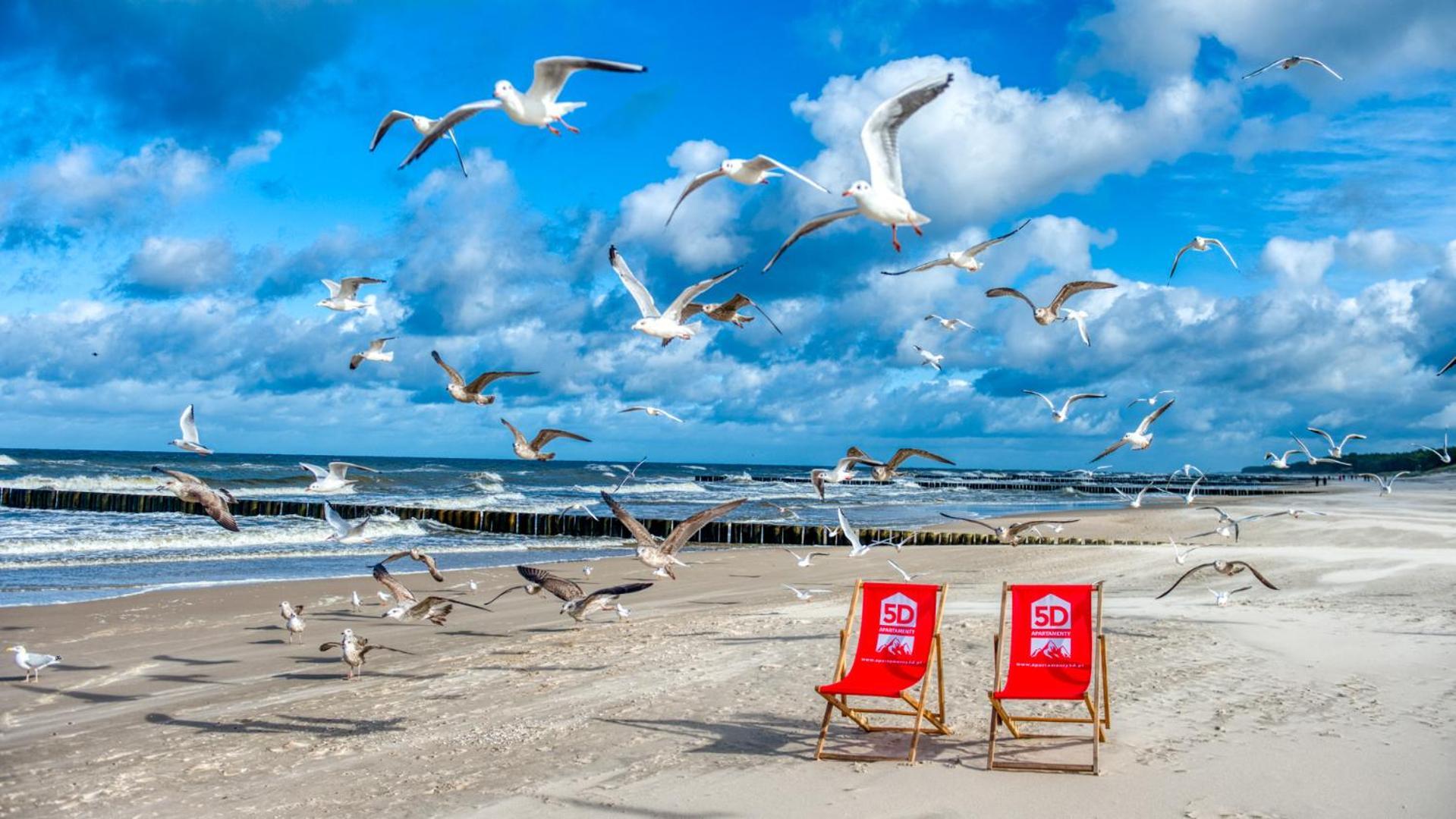 Rezydencja Niechorze 304 przy Plaży - 5D Apartamenty Zewnętrze zdjęcie